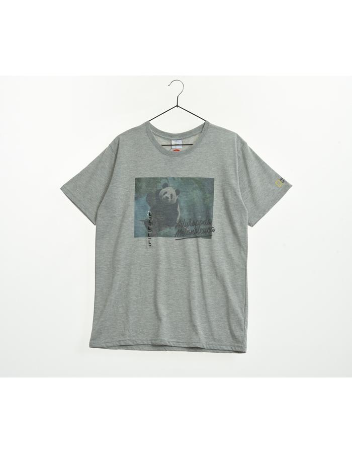 (새상품)NATIONAL GEOGRAPHIC 내셔널지오그래픽 팬더 반팔 티셔츠/WOMAN L